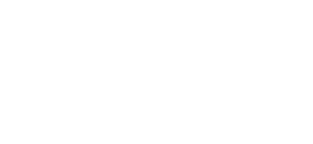 Logo-Transparent D&W Consulting
